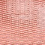 Lincoln Circles - Gloss Ablaze