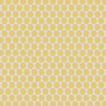 Lincoln Circles - Gloss Solaria