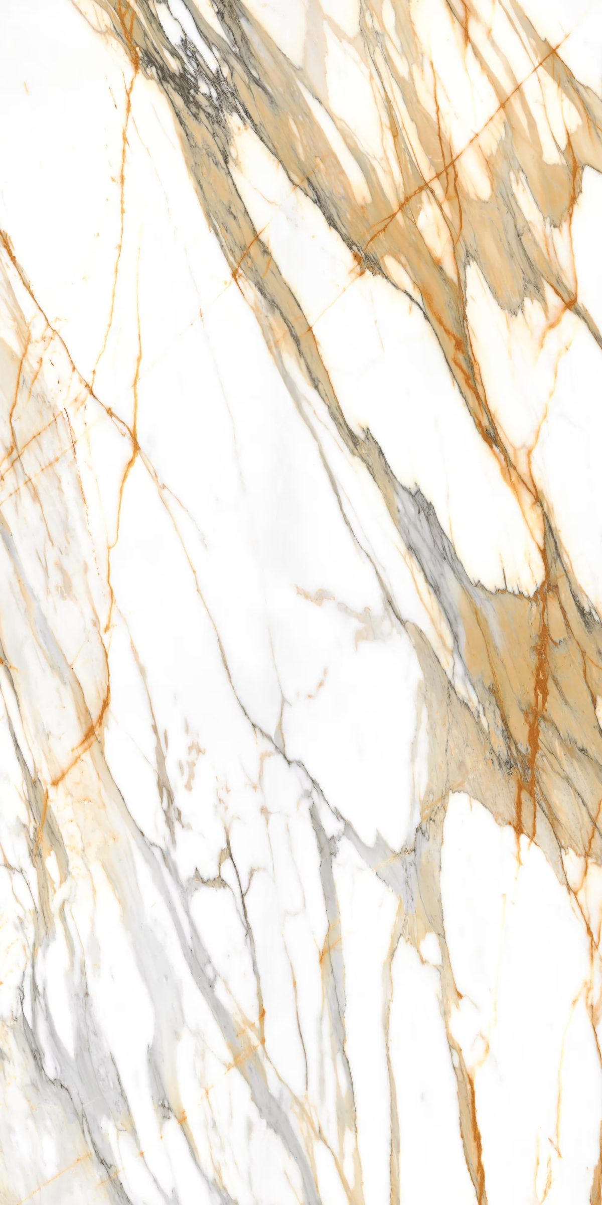 Laminam - Calacatta Mediceo - Image 1