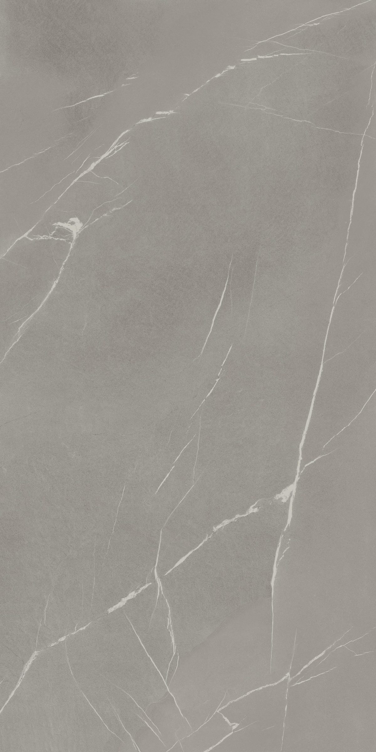 Laminam - Pietra Piasentina Grigio - Image 1