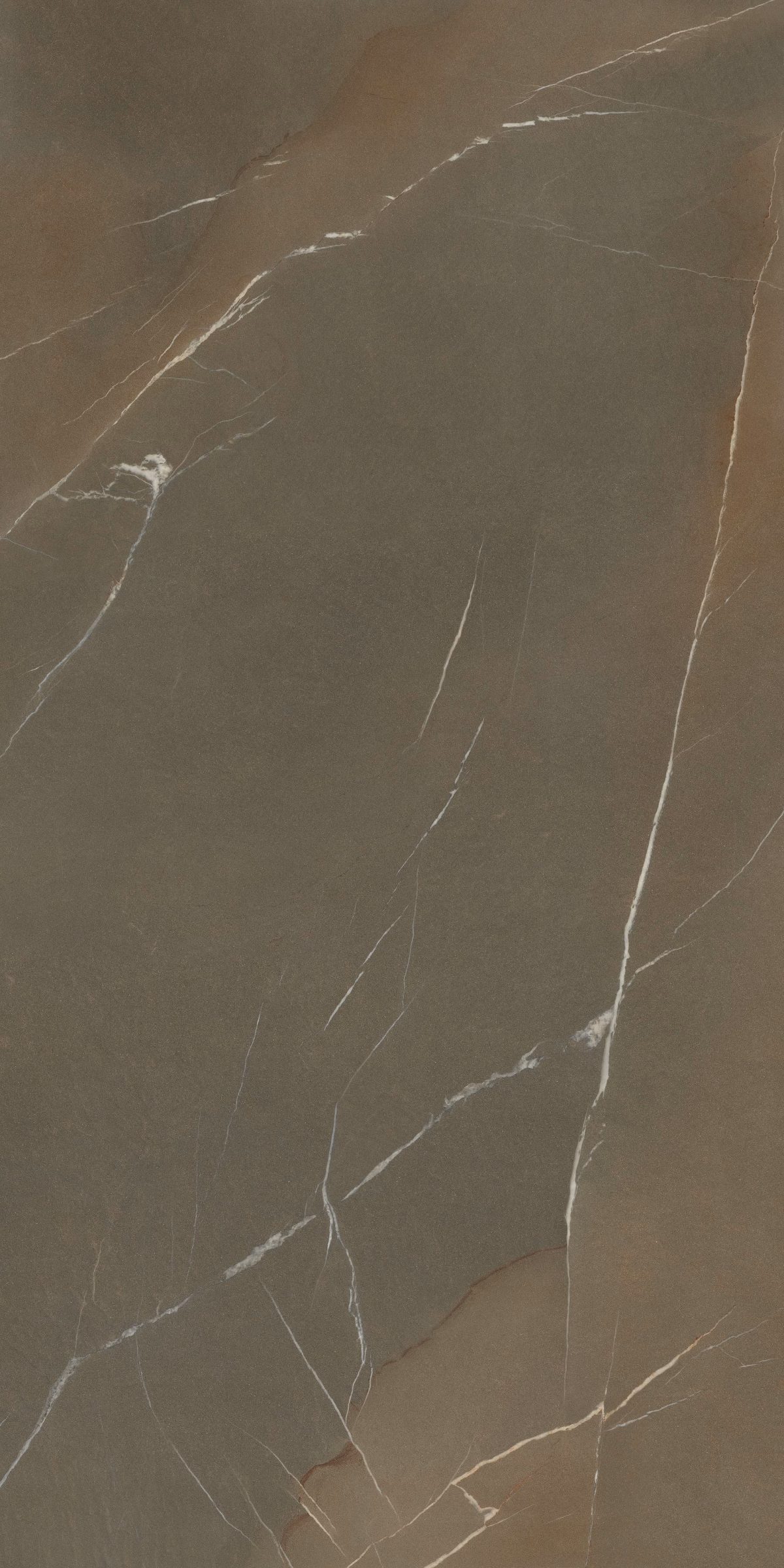 Laminam - Pietra Piasentina Taupe - Image 1