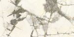 Marmi Bianco - Image 3