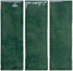 Vitria - Evergreen