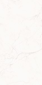 Foundation White - Image 2