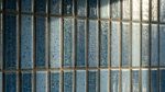 Sakana - Ocean - Image 2